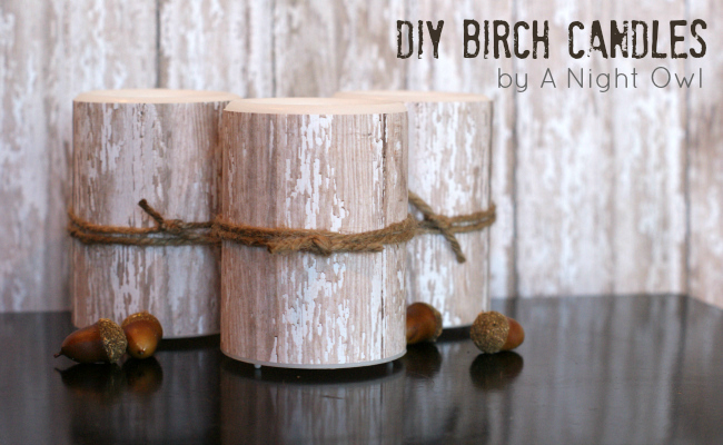 Knock-Off Pottery Barn Birch Candles