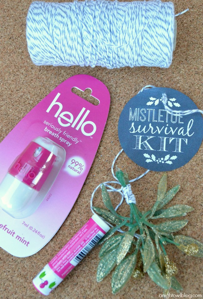 The makings of such a fun gift idea this holiday season - Mistletoe Survival Kit with Hello breath spray!