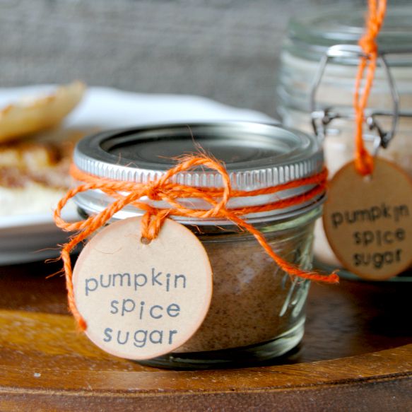 Pumpkin Spice Sugar is the taste of Fall! Sprinkle it on toast, stir it in coffee or tea, add it to syrup, cookie batter and more!