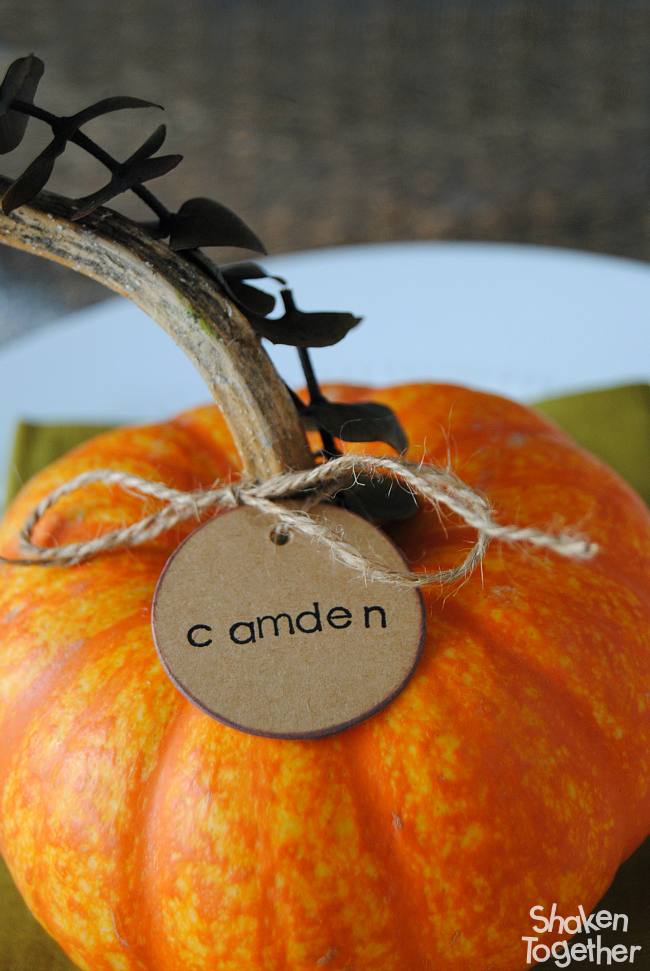 Eucalyptus Pumpkin Place Cards - an easy but elegant addition to your Thanksgiving table! They make a thoughtful favor for guests to take home, too!